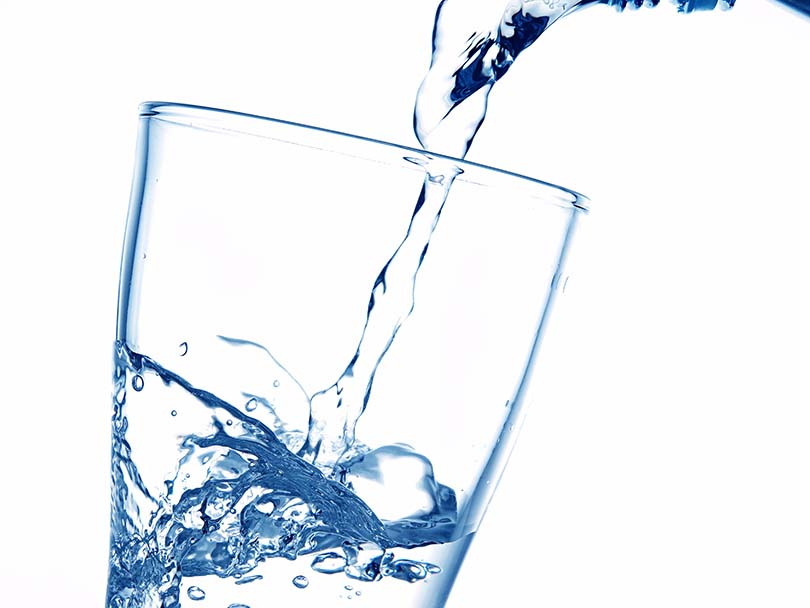 Wasser ist und bleibt ein Lebenselixier